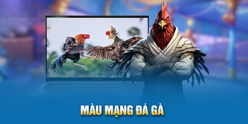 Cách Xem Màu Mạng Đá Gà Chuẩn Xác Dành Cho Tân Thủ - BACENI