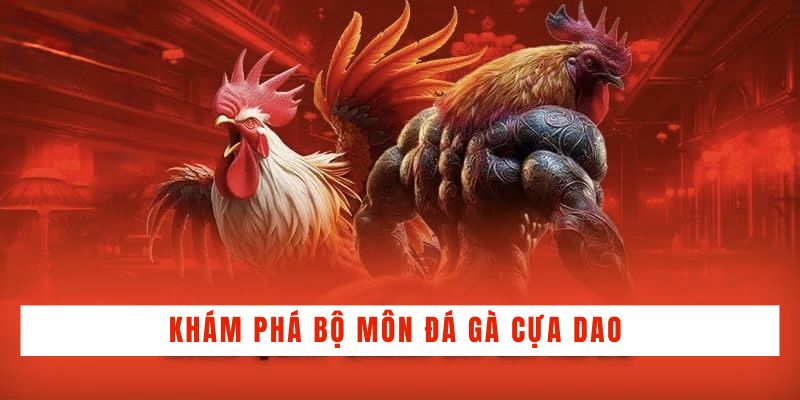 Đá Gà Cựa Dao - Tìm Hiểu Bí Quyết Chọn Gà Chiến Bách Thắng - BACENI