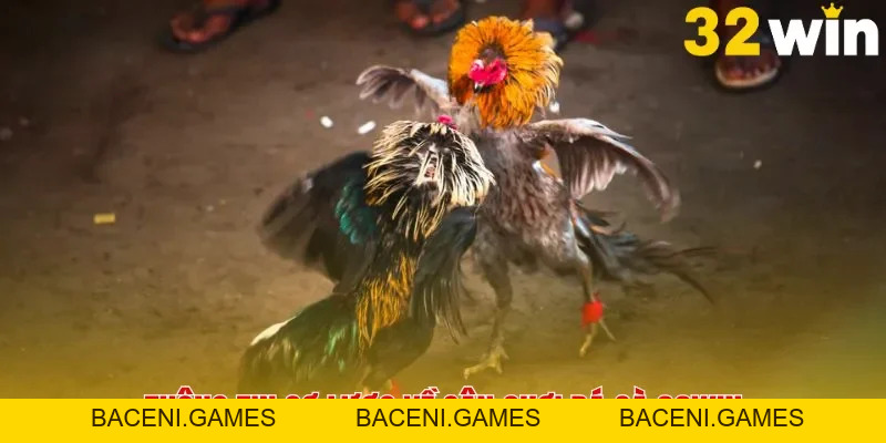 Đá Gà 32win - Sân Chơi Uy Tín Dành Cho Các Tín Đồ Yêu Thích Gà Chọi - BACENI