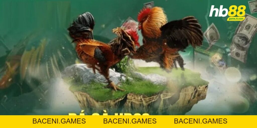 Luật đá gà miền Bắc - Cập nhật chi tiết và đầy đủ nhất 2026 - BACENI